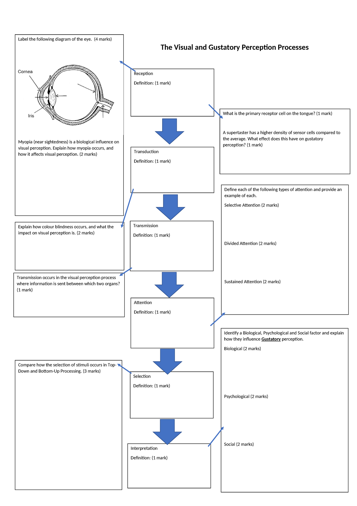 99 11PSY - Perception - Visual & Gustatory Processes Worksheet 2023 ...