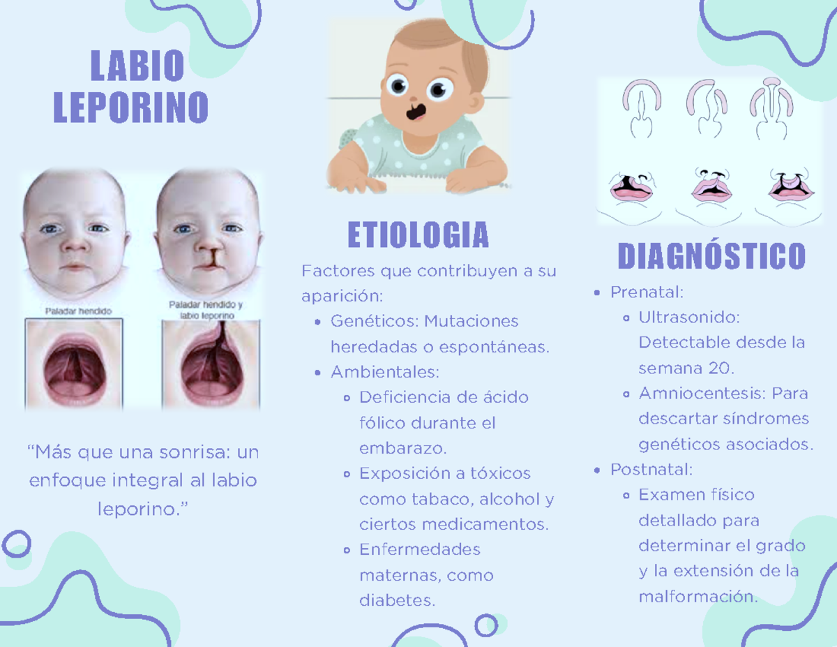 Labio leporino - Factores que contribuyen a su aparición: Genéticos ...