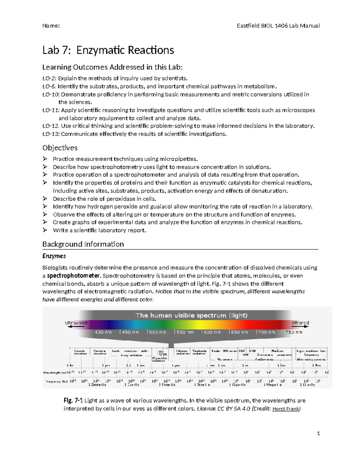 Enzyme Lab (Lab 7): Investigating Enzymatic Reactions and Techniques ...