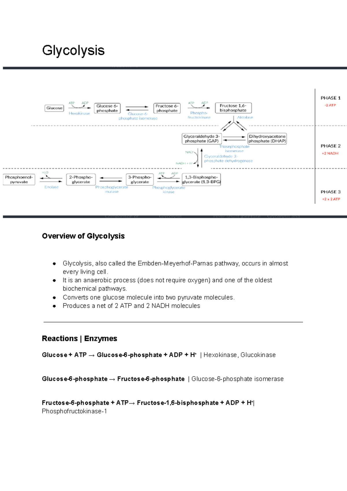 Biochem II Finals: Comprehensive Notes on Glycolysis Process - Studocu