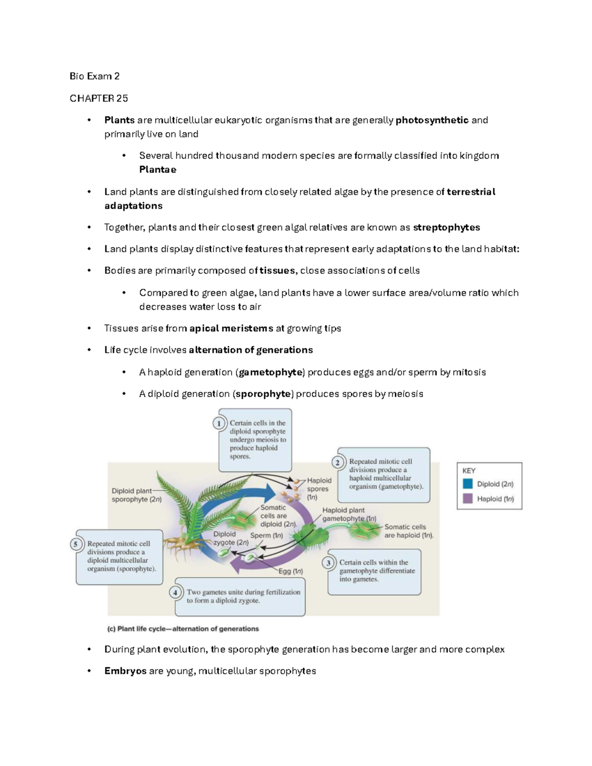 Bio Exam 2 Study Guide: Plant Structure and Function - Studocu