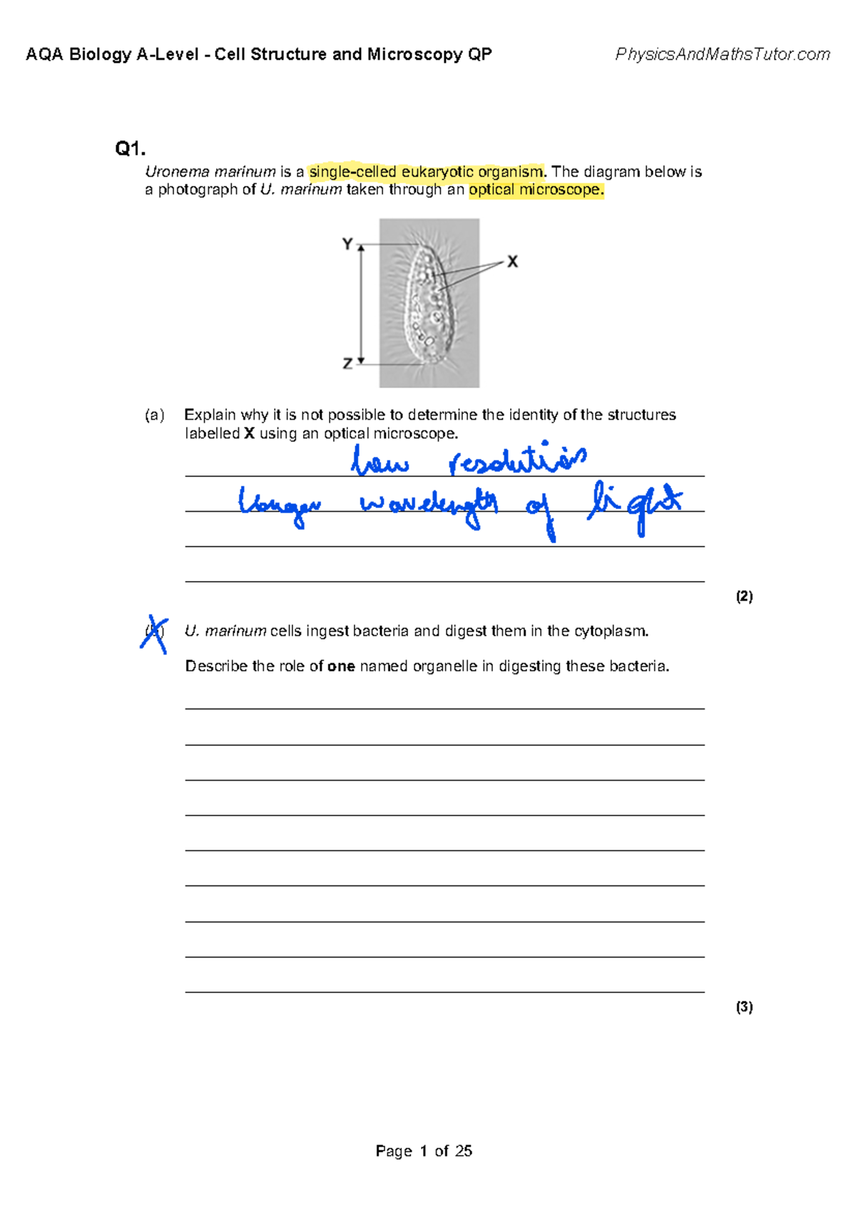 2.1 Cell Structure & Microscopy: QA & Exam Prep Guide - Studocu
