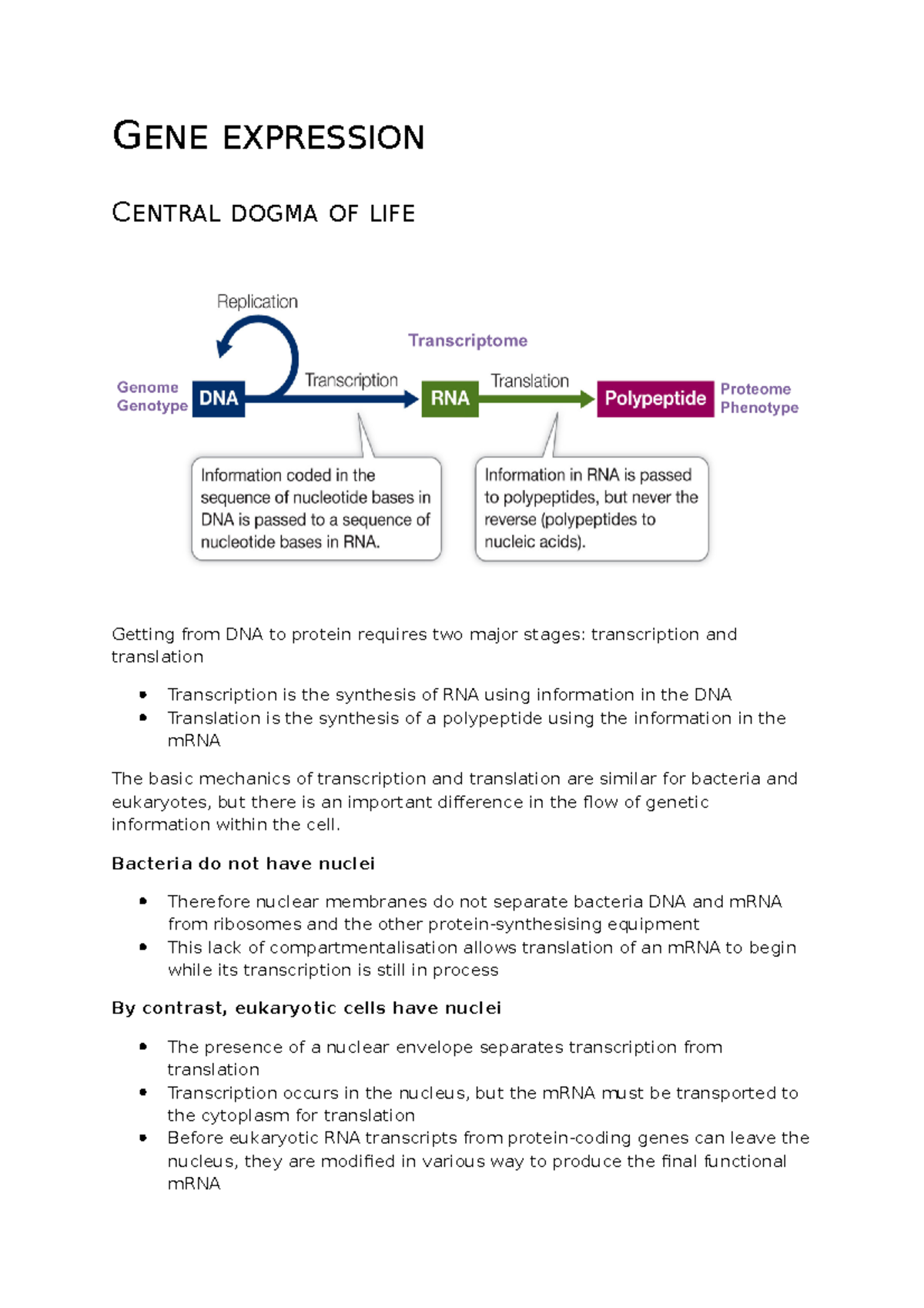 Gene expression - Summary Campbell Biology - GENE EXPRESSION CENTRAL ...