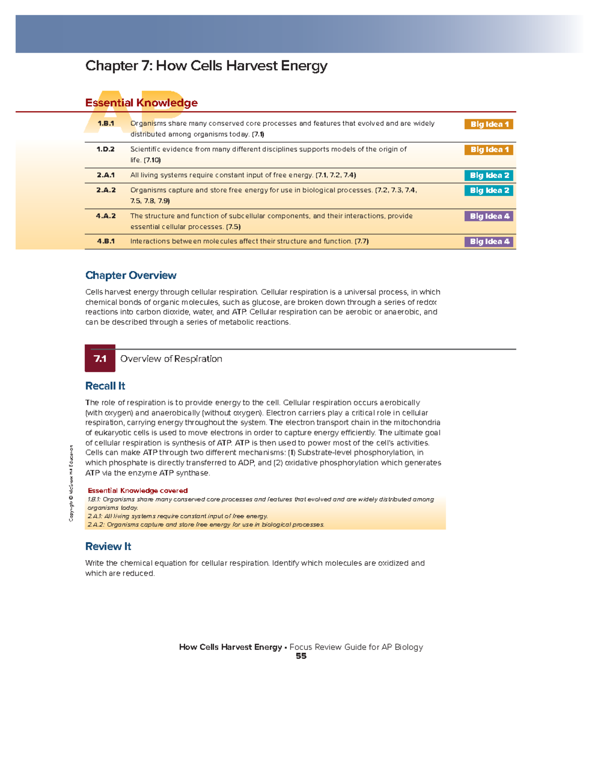 AP Biology Focus Review Guide: Chapter 7 - Cellular Respiration ...