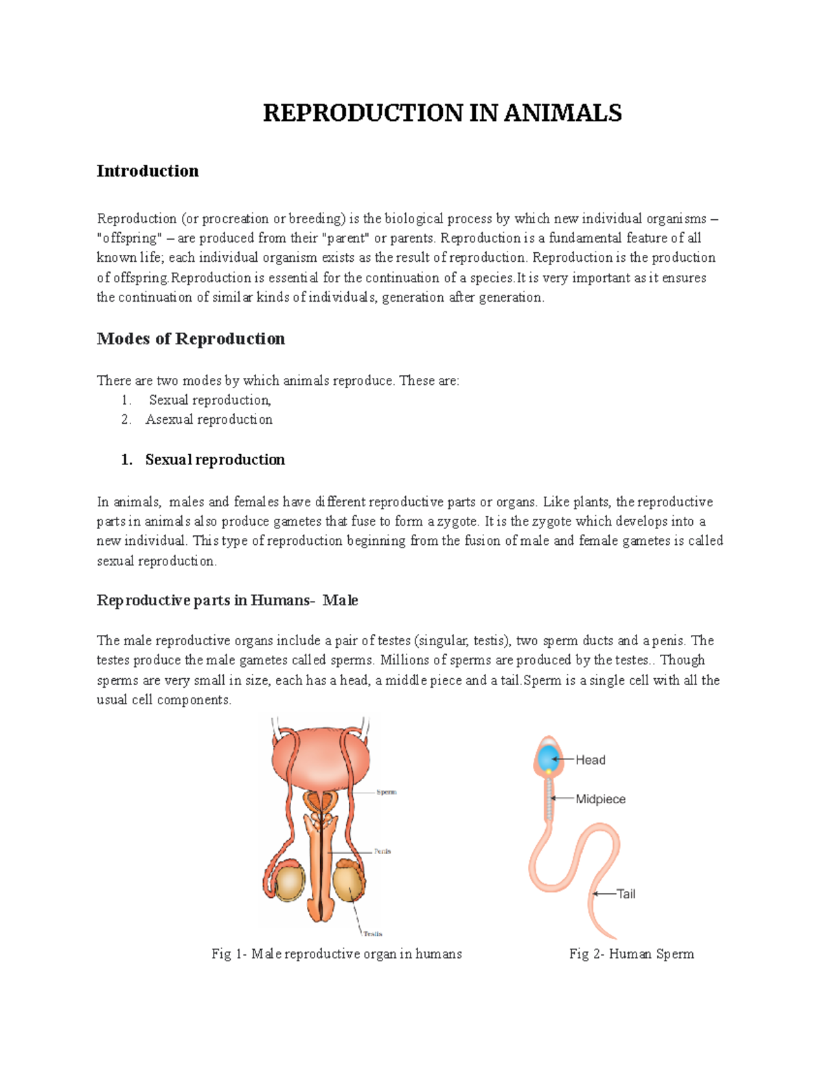 Kingdom Monera: Overview of Prokaryotic Bacteria and Their Characteristics  - Studocu