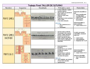Tipos de Incisiones Quirúrgicas en el Abdomen - 2019 56776 - Studocu