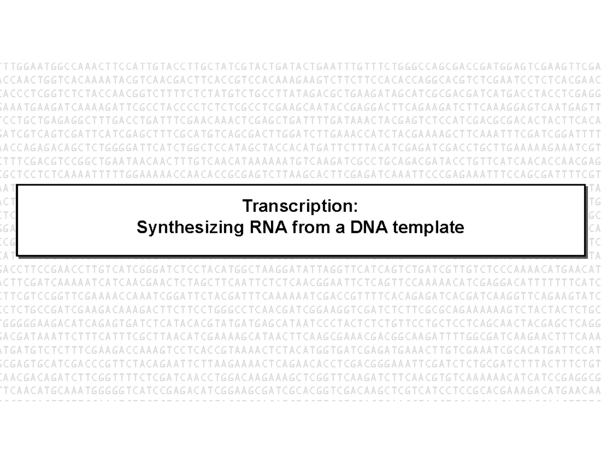 Transcription Mechanisms & RNA Polymerase Dynamics (BIOL 501) - Studocu