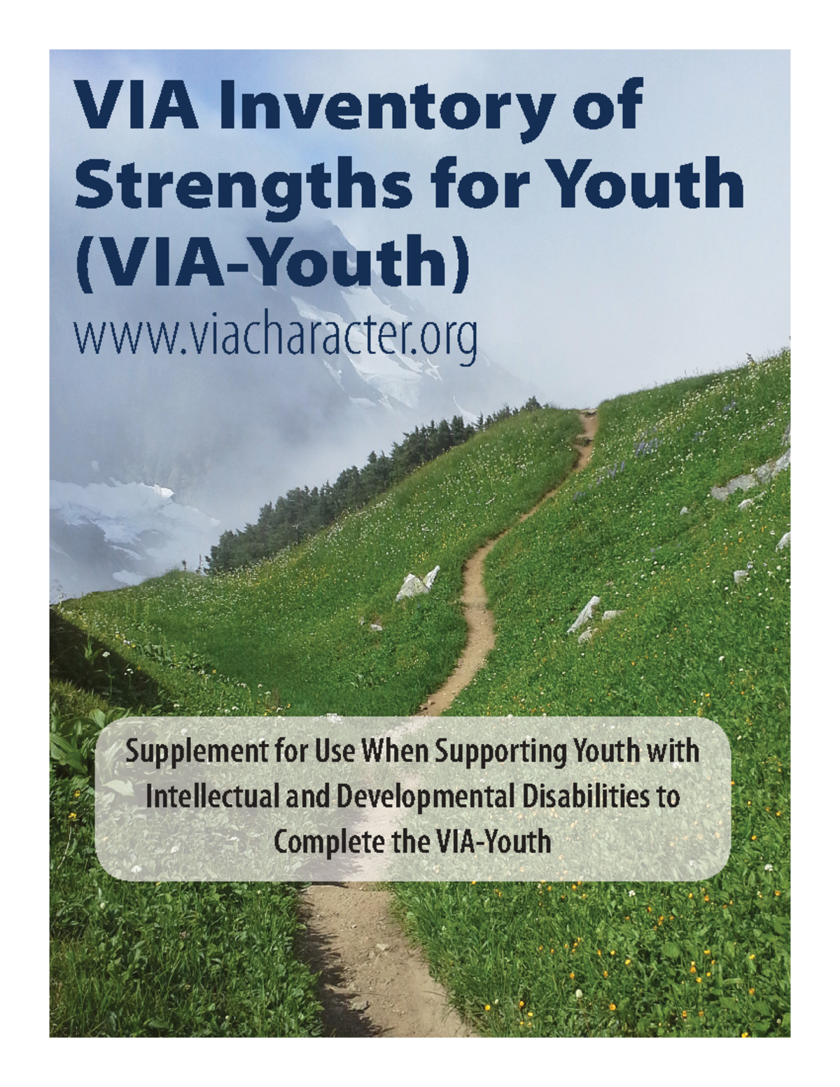 VIA Inventory of Strengths for Youth: Supplement for Supporting Youth ...