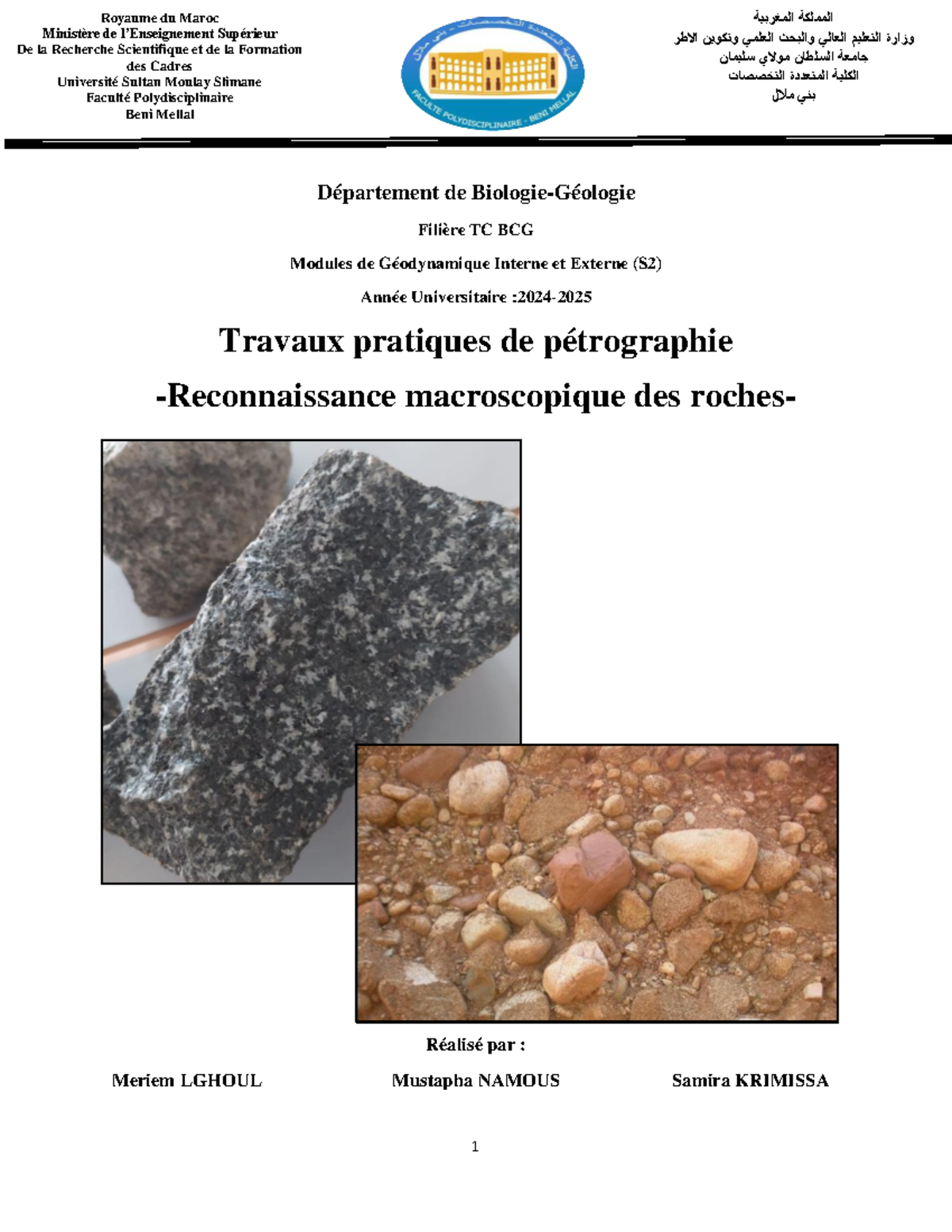 Travaux Pratiques de Pétrographie : Reconnaissance des Roches - S2 BCG ...