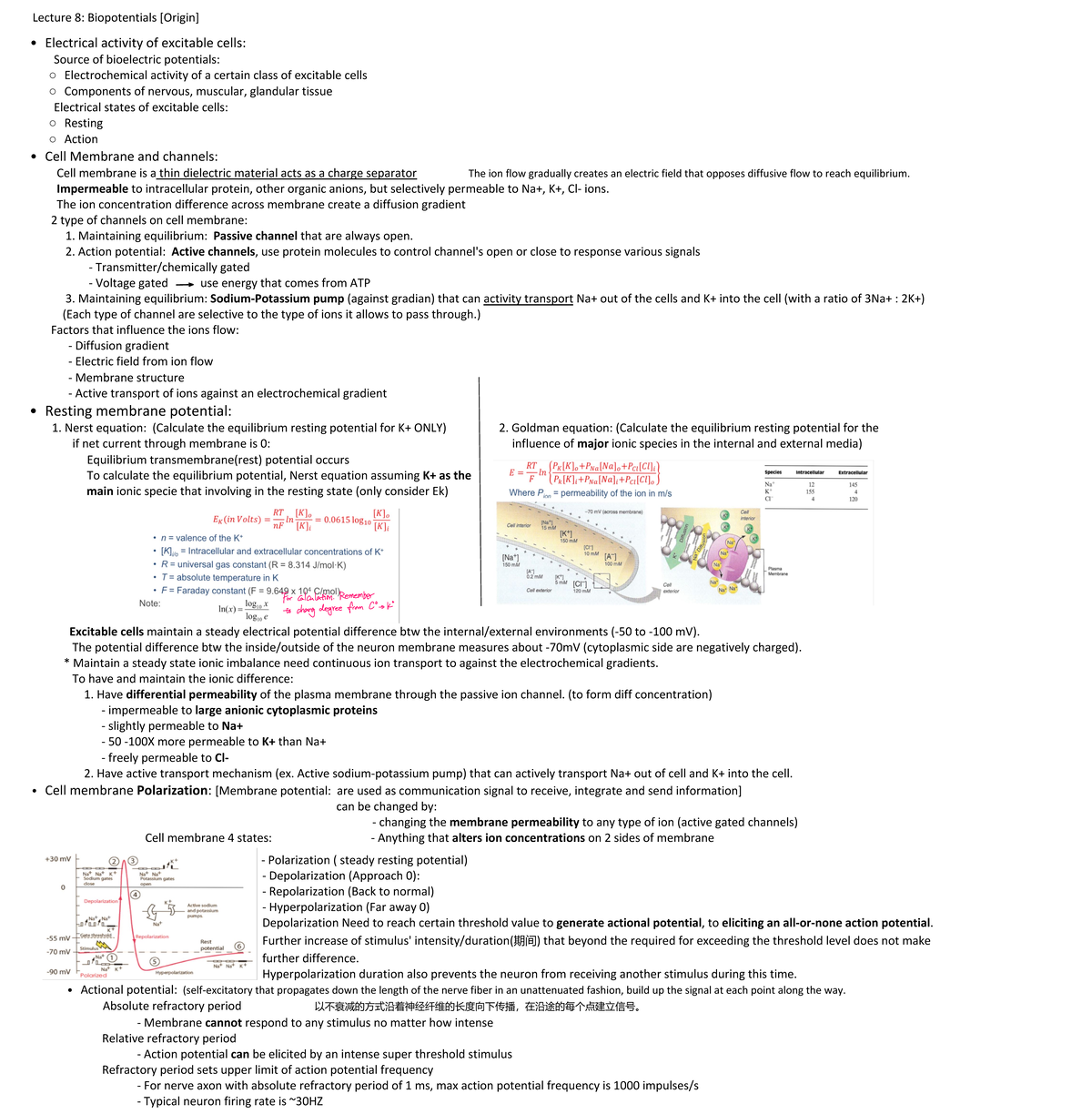 Lecture 8: Biopotentials and Electrical Activity of Cells - Studocu