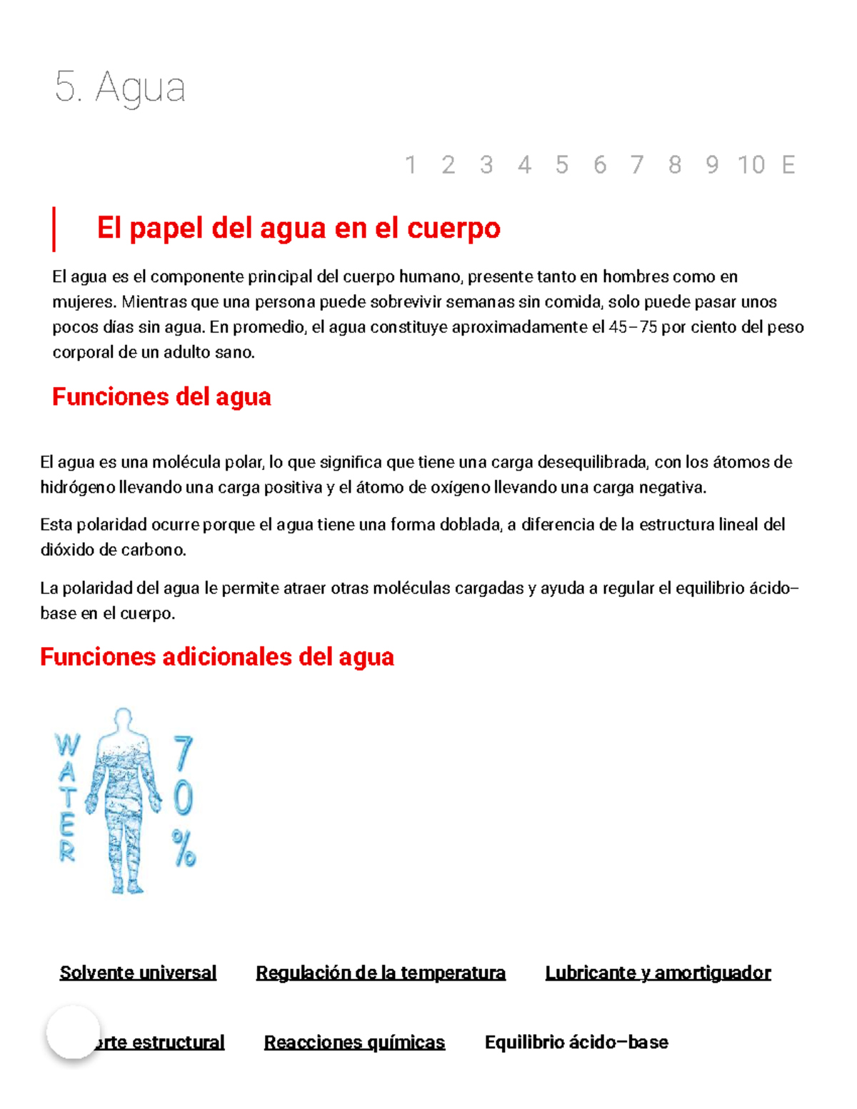 5. Agua: Importancia y Funciones en el Cuerpo Humano - Studocu