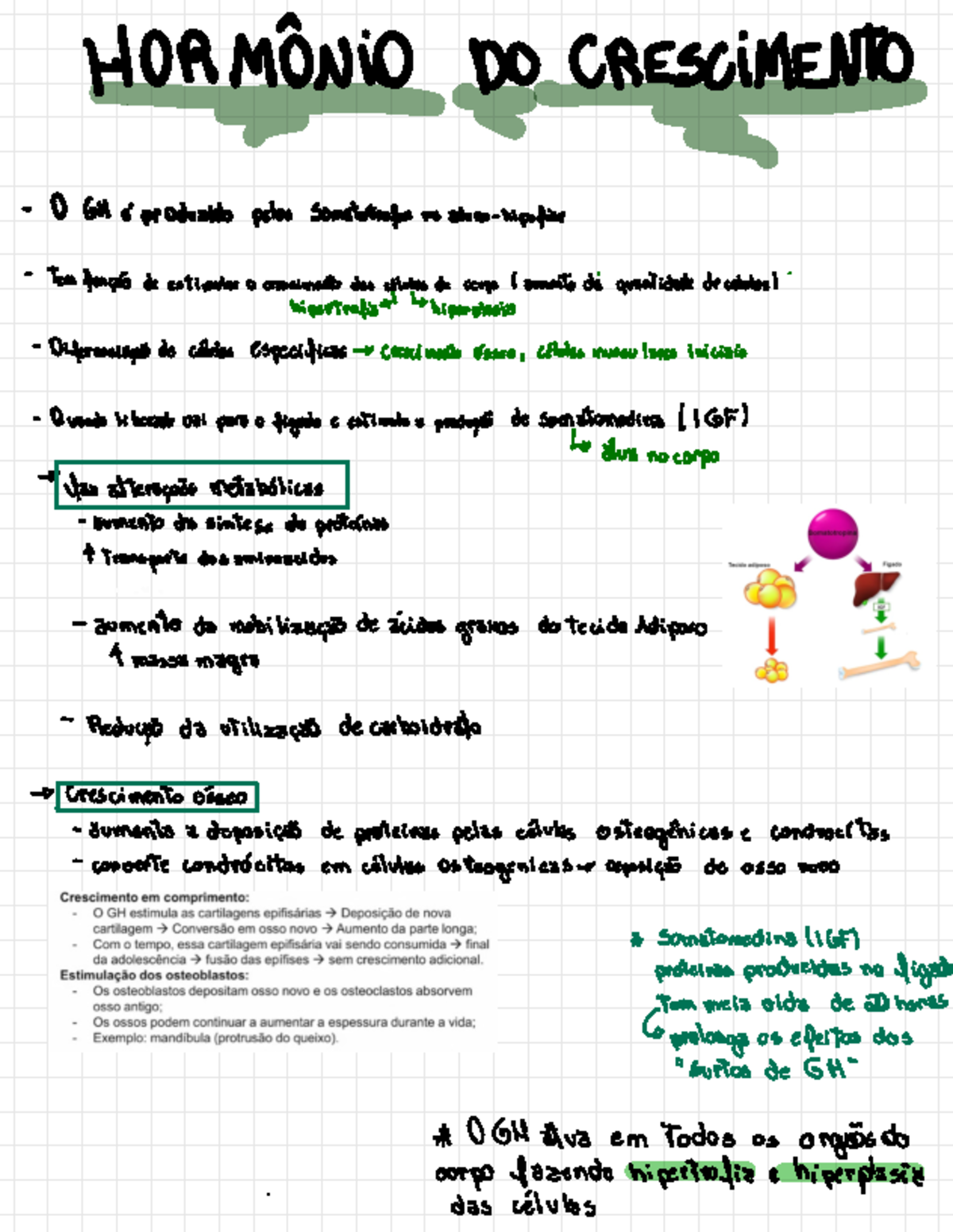 APG GH - Resumo sistemas orgânicos integrados - HORMÔNIO DO CRESCIMENTO ...
