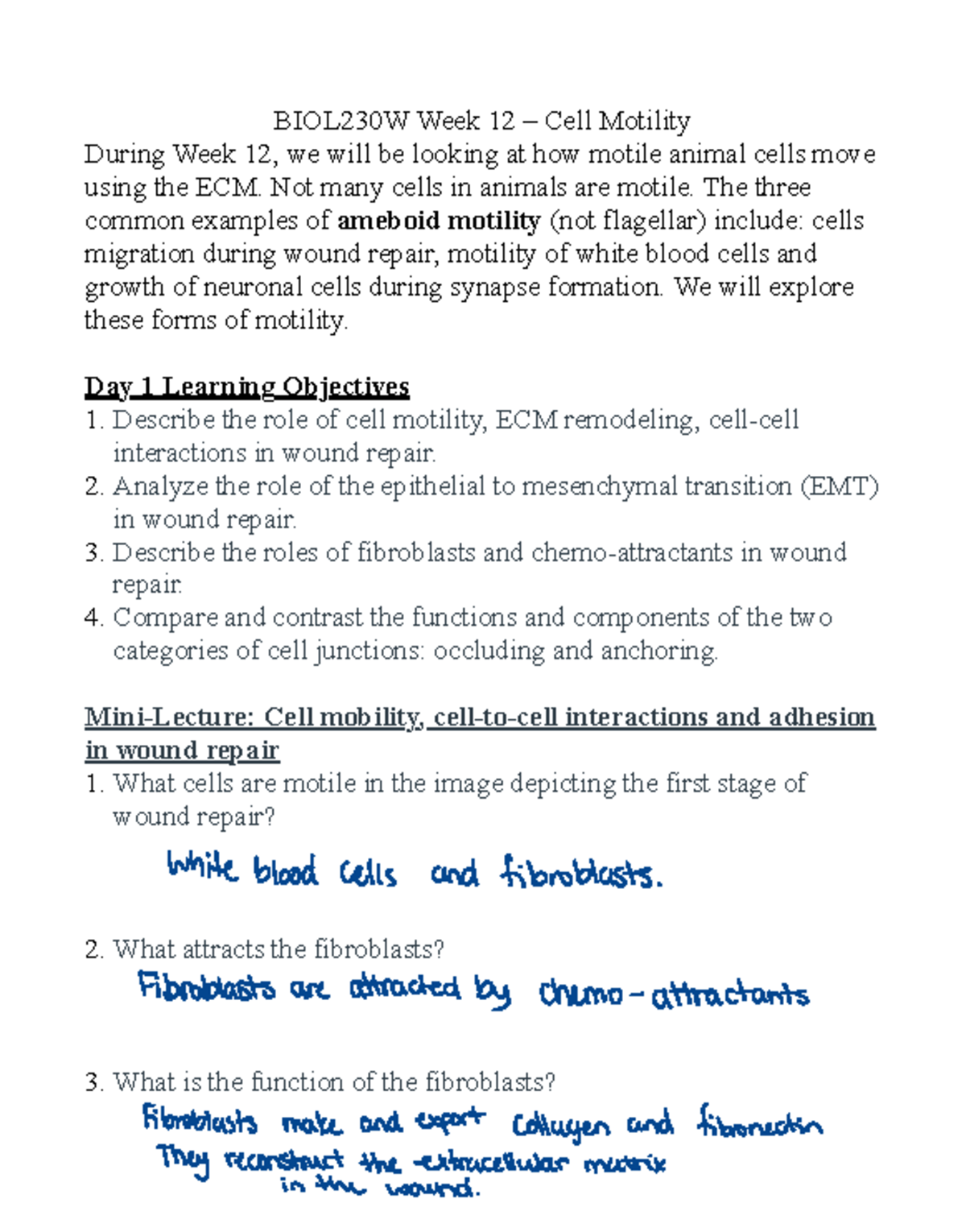 BIOL230W Week 12 Lecture: Understanding Cell Motility & Wound Repair ...