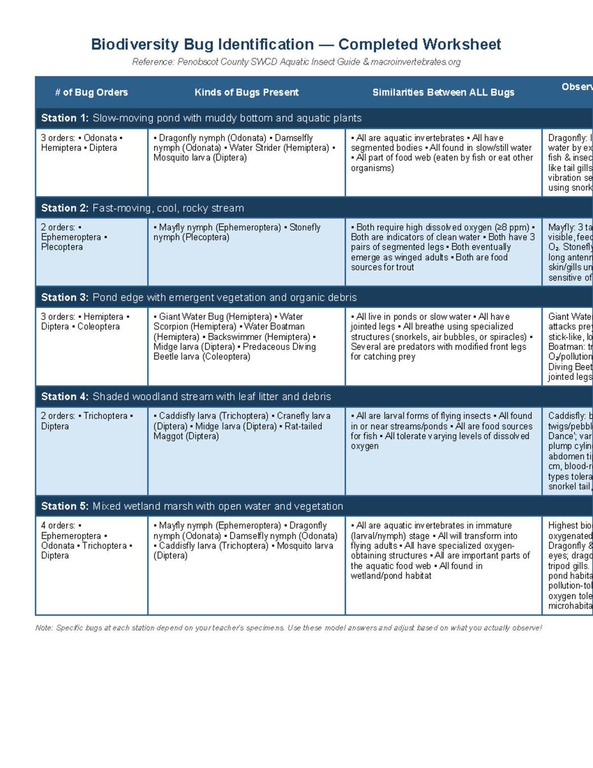 Biodiversity Bug Identification Worksheet: Completed Observations - Studocu
