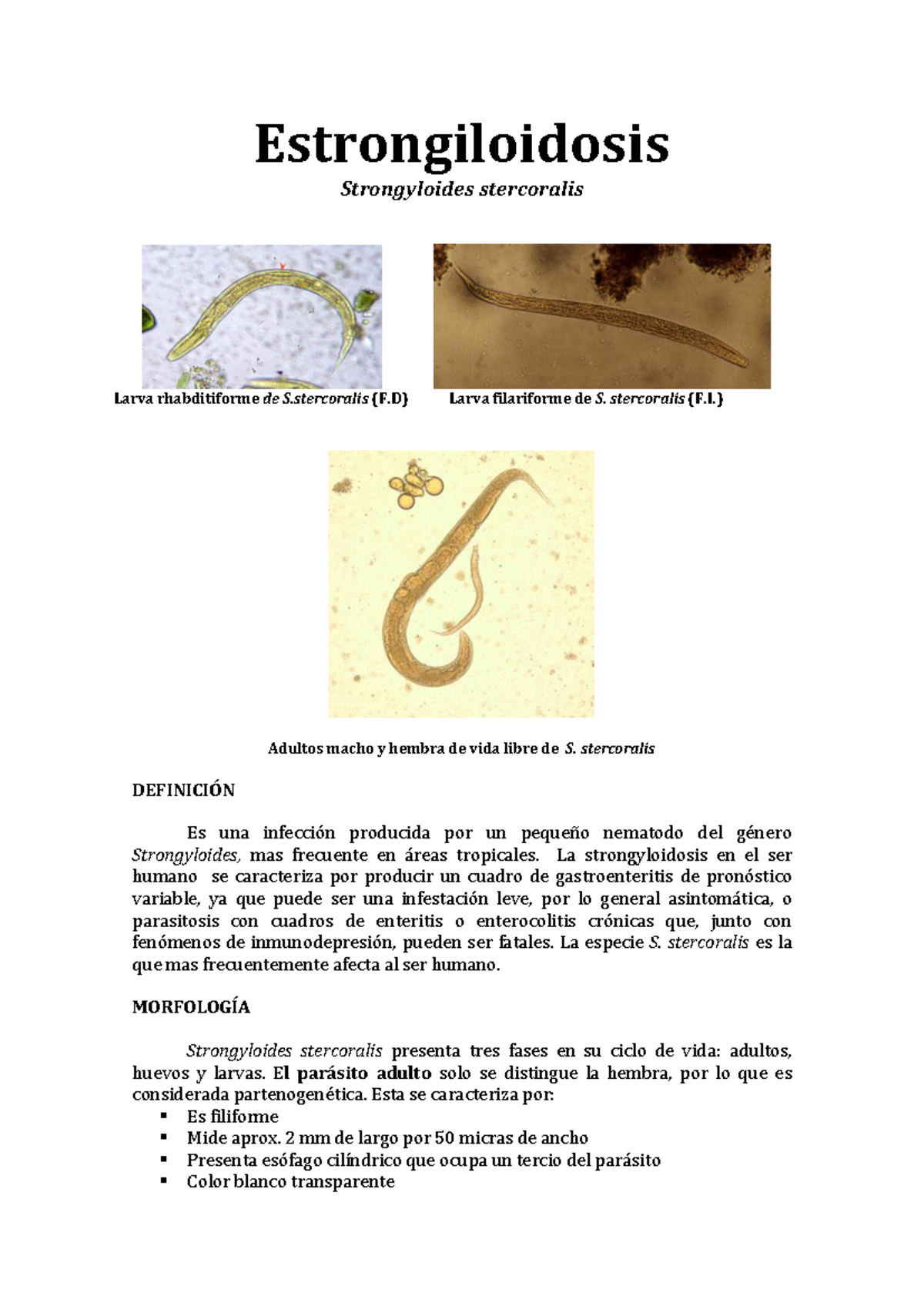 Resúmenes de Parasitología - Segundo Parcial (PARASITOLOGÍA) - Studocu, image size:1200x1696