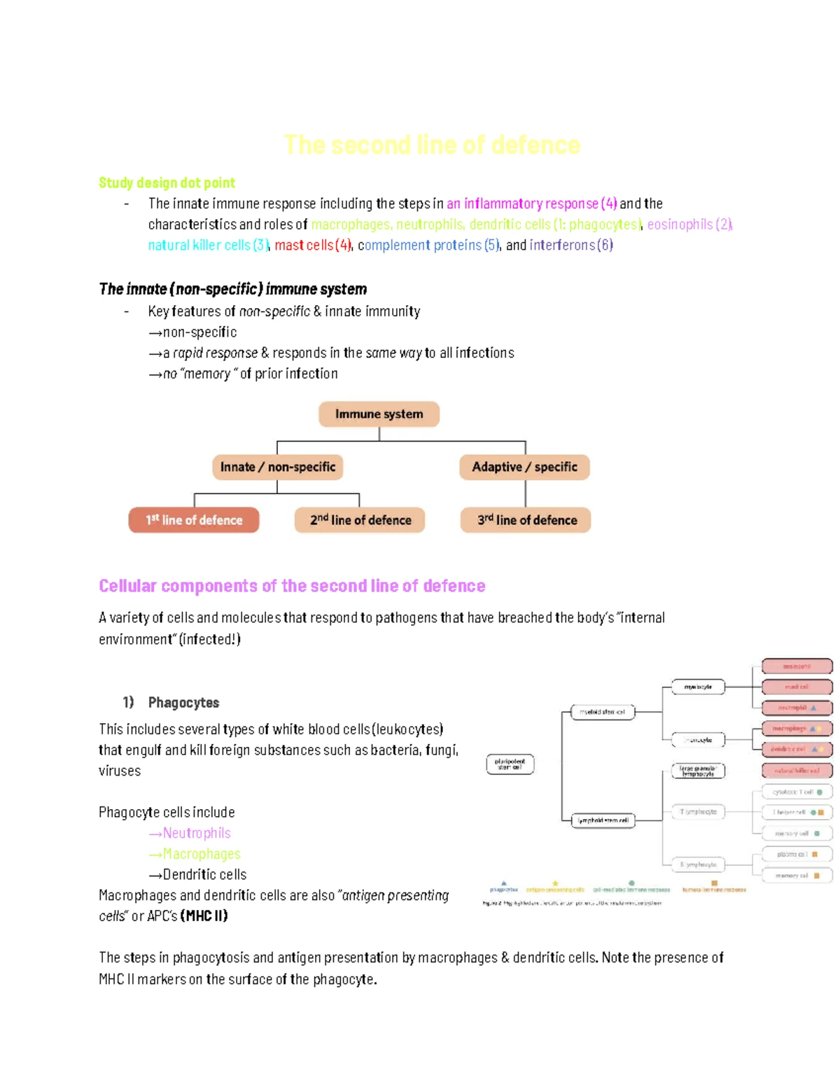 Bio Unit 4 AOS1: First Line of Defence Mechanisms in Immunity - Studocu