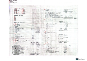 Wiley Module 1 Auditing and Assurance Principles - ANCERO, Jillian ...