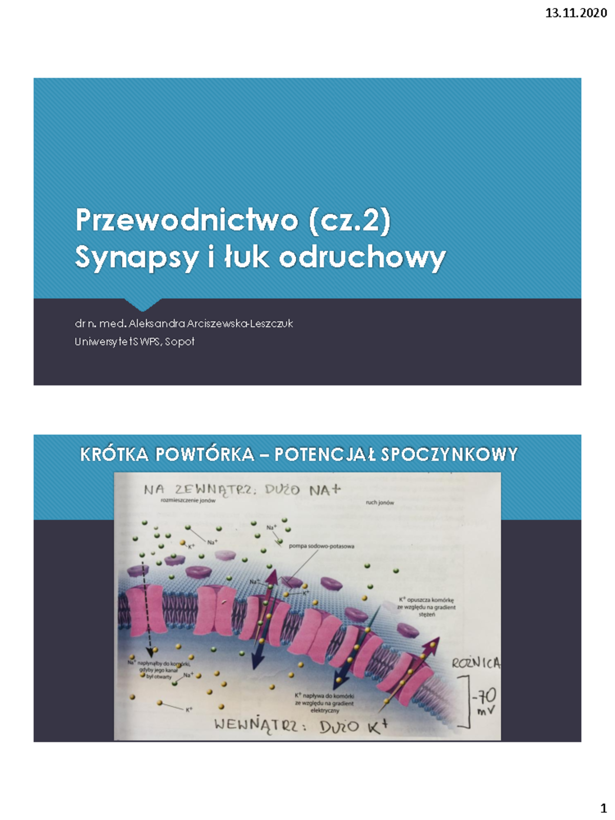 Przewodnictwo nerwowe: Synapsy i łuk odruchowy - Wprowadzenie ...