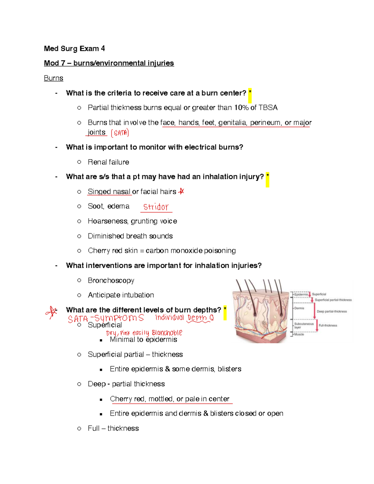 Med Surg Exam 4 Mod 7: Comprehensive Guide to Burn Injuries and ...