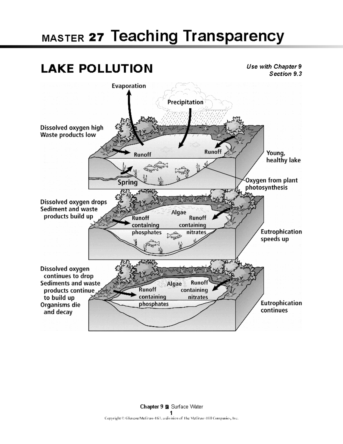 Lake Pollution Worksheet 9: Understanding Eutrophication Effects - Studocu