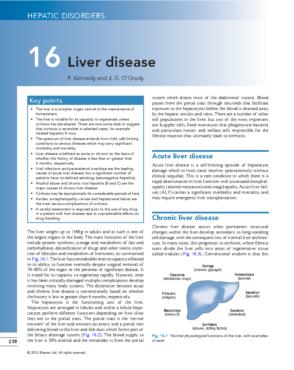 Management Strategies for Chronic Hepatitis B and C: An Overview - Studocu