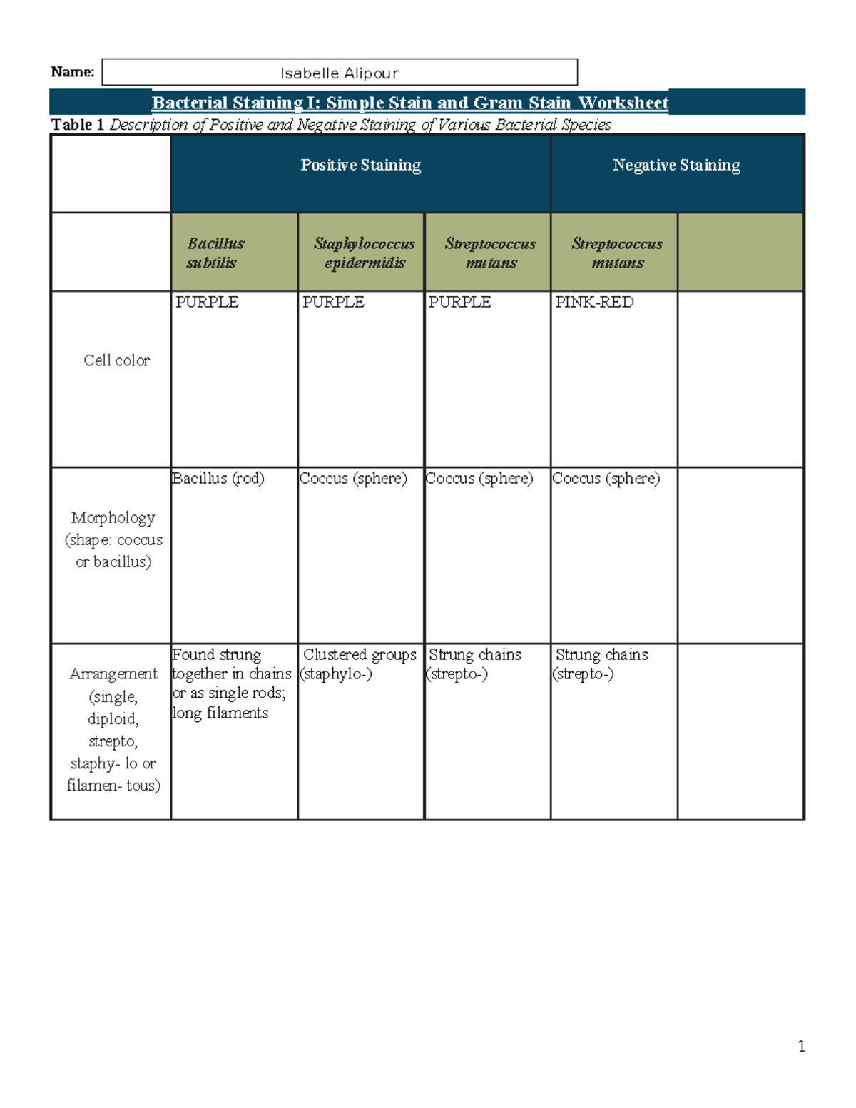 BIOL 101: Bacterial Staining Techniques - Simple & Gram Stain Worksheet ...