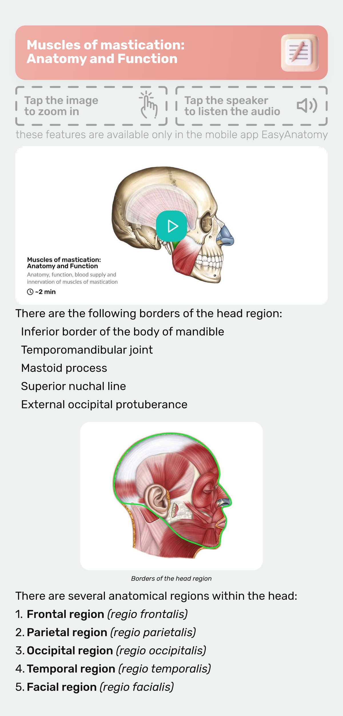 Anatomy and Function of Muscles of Mastication (Course Code: 8293 ...