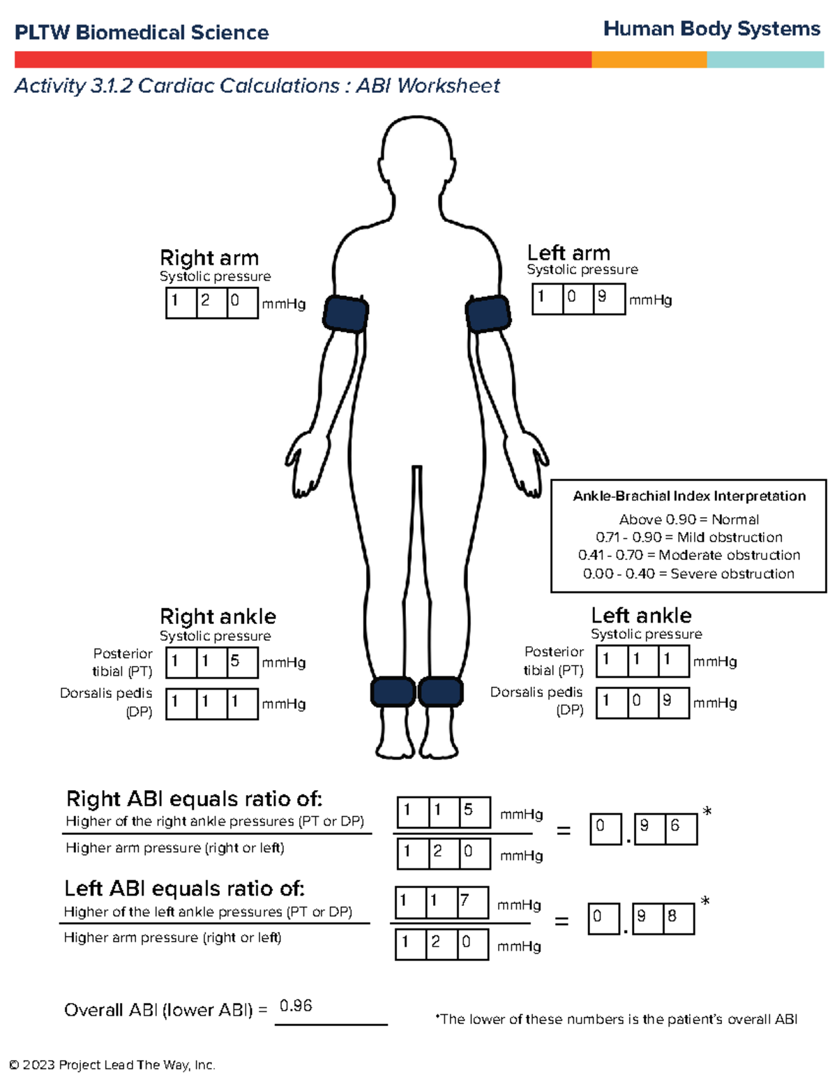 HBS Unit 3: ABI Worksheet for Cardiac Calculations in PLTW - Studocu