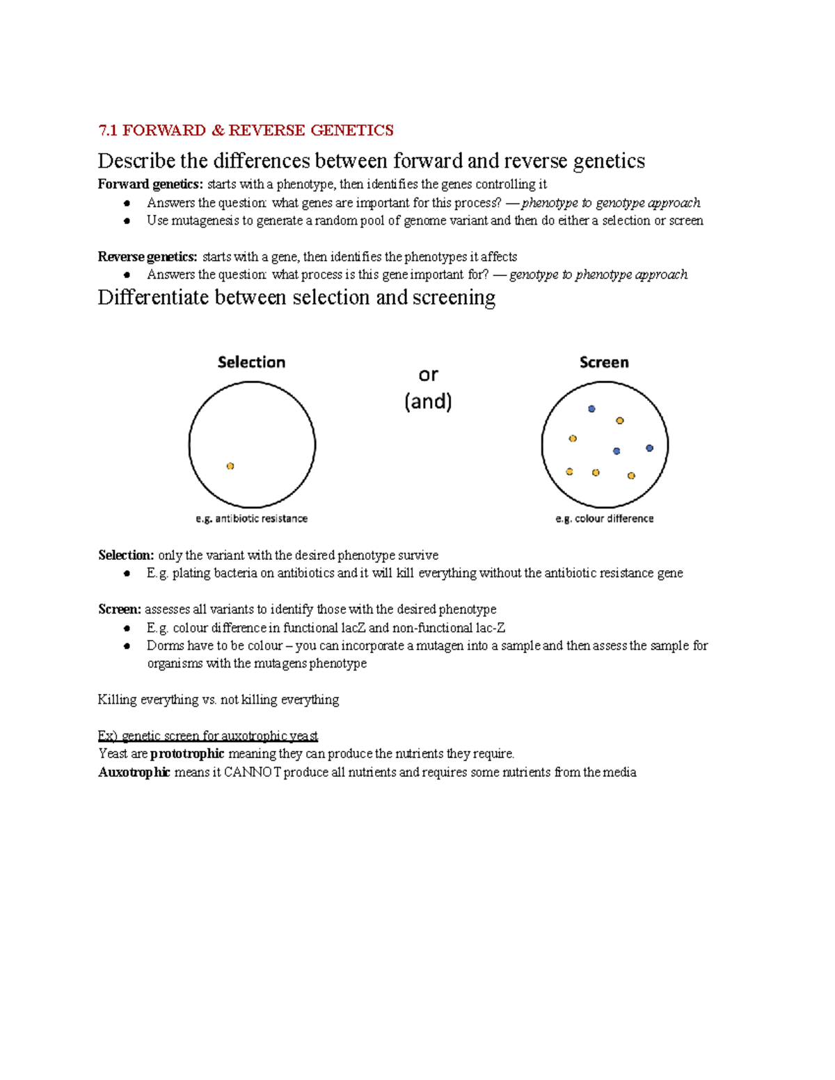 Module 7 Notes: Forward and Reverse Genetics, RNAi, and CRISPR ...