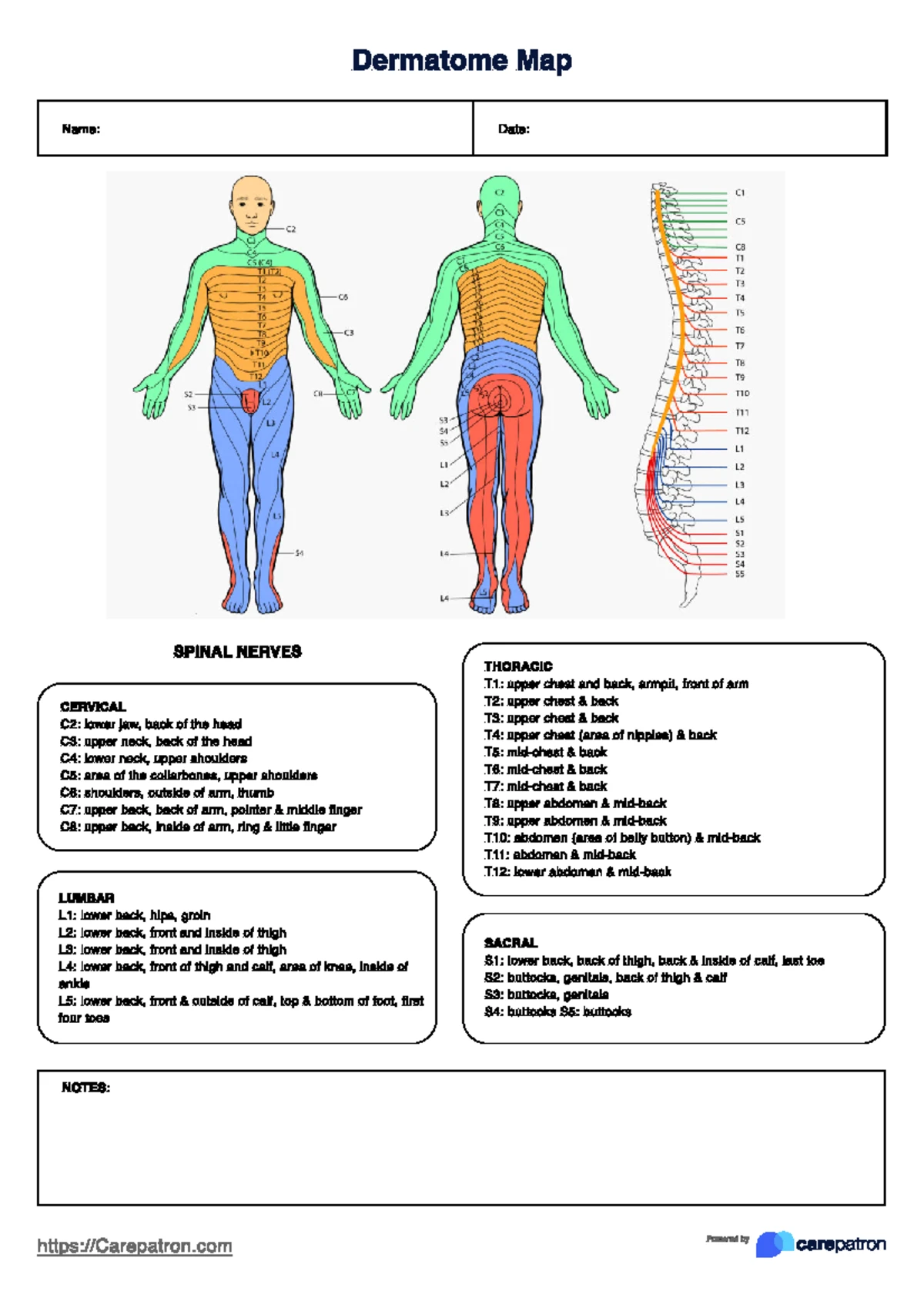 NURS 697: Week 7 Case Study on Stroke Management in Critical Care - Studocu