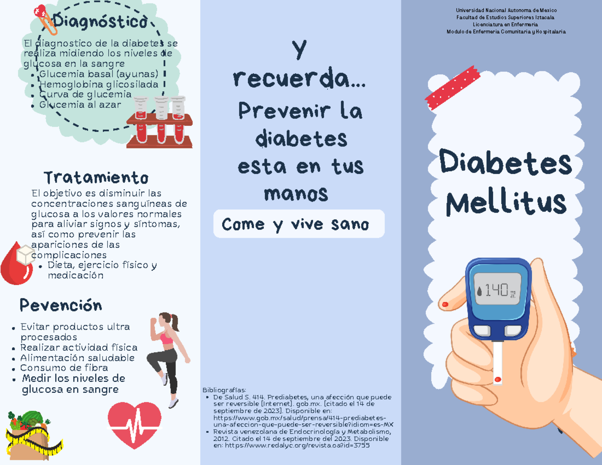 Guía Completa sobre Diabetes: Tipo 1, Tipo 2 y Gestacional - UMF 187 - Document Preview