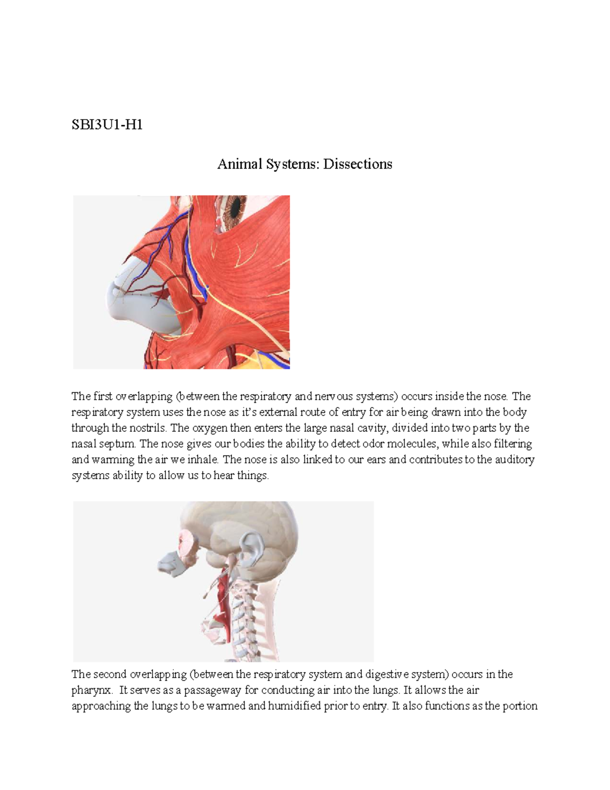 Animal Systems: Dissections Assignment Overview - Studocu