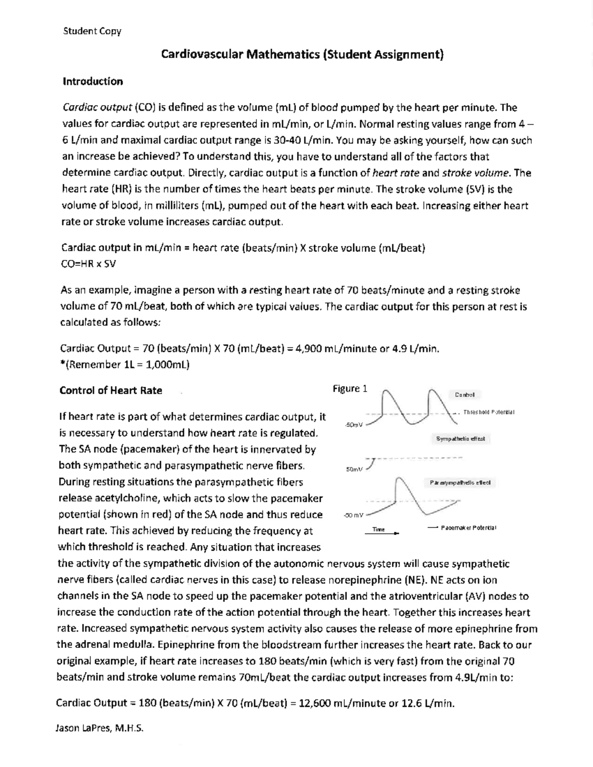 Cardiovascular Mathmatics (CO) Worksheet - Student Copy Cardiovascular ...