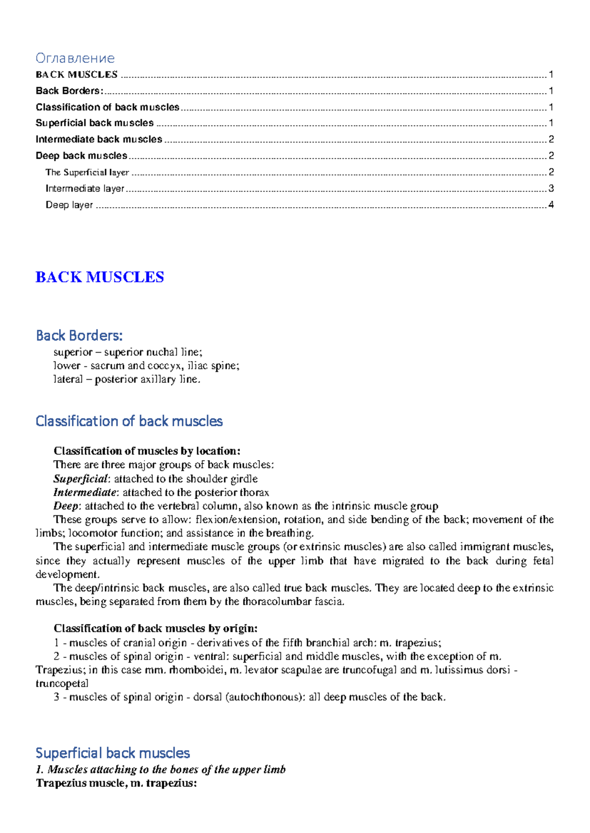 Back muscles overview and classification: A detailed study guide - Studocu