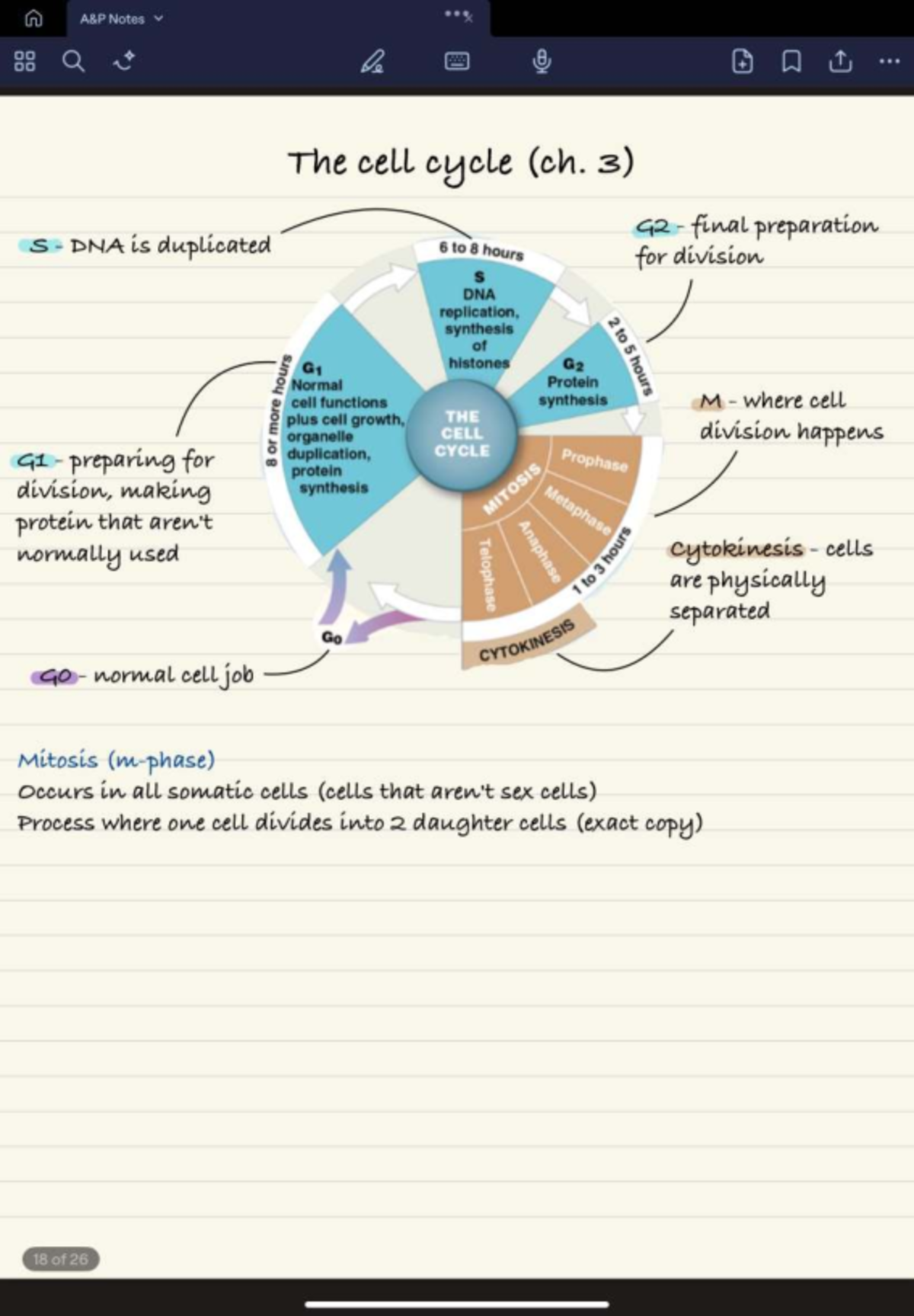 Final Exam Study Guide for XYZ 101: The Cell Cycle (Ch. 3) - Studocu