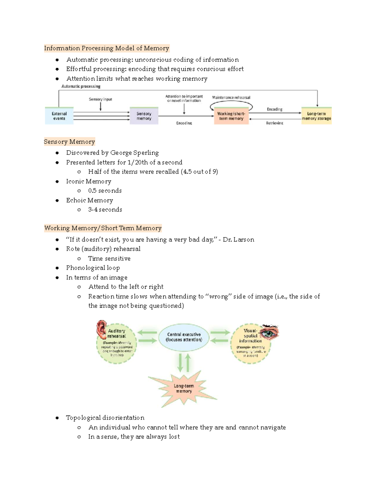 PSYC 100-01 Memory: Information Processing and Encoding Strategies ...