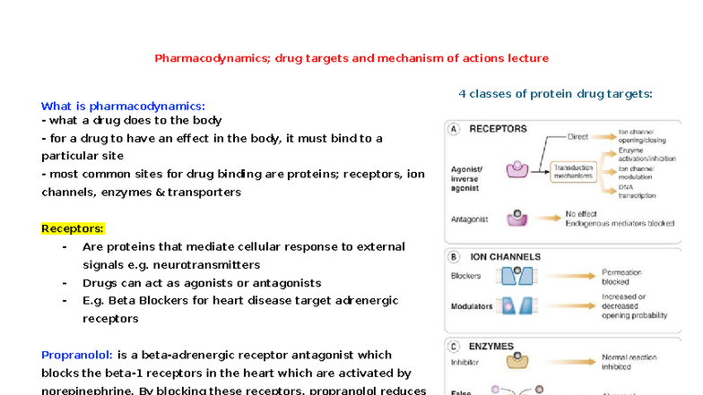 Pharmacodynamics Lecture 1: Drug Targets & Mechanisms of Action - Studocu