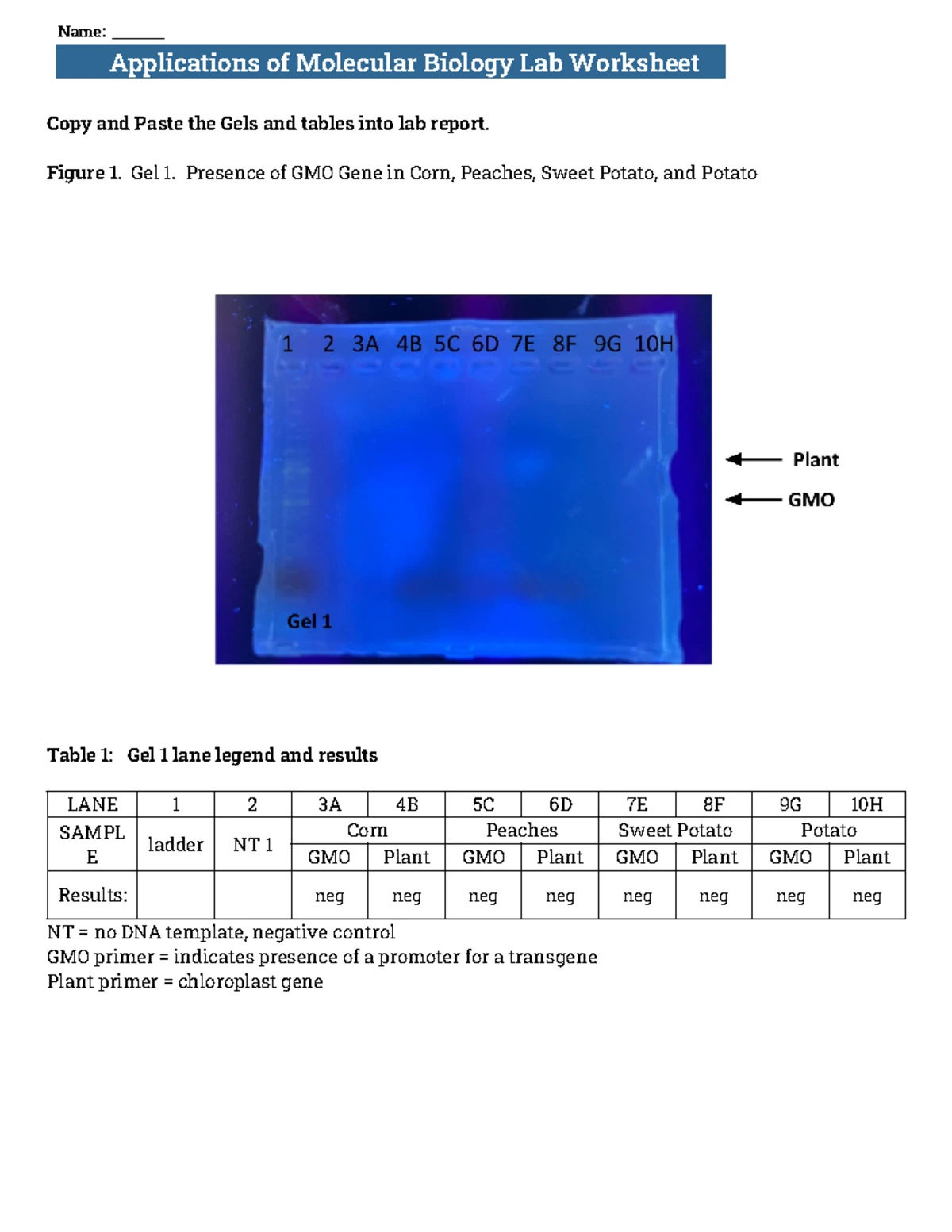 Bio205 Pathogenic Eukaryotic Microorganisms Lab Worksheet - Studocu
