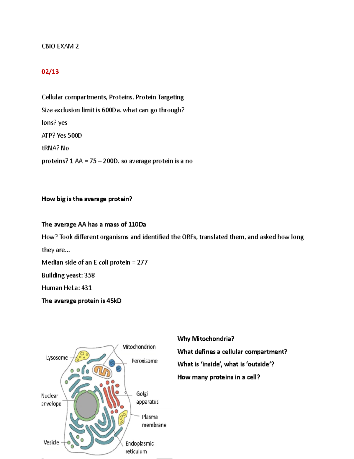 CBIO EXAM 2 - Comprehensive Lecture Notes on Cellular ...
