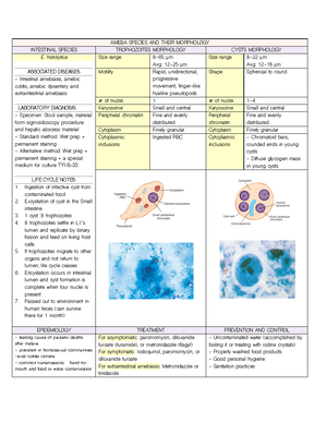 J - notes - The red blood cell (RBC) membrane must have deformability ...