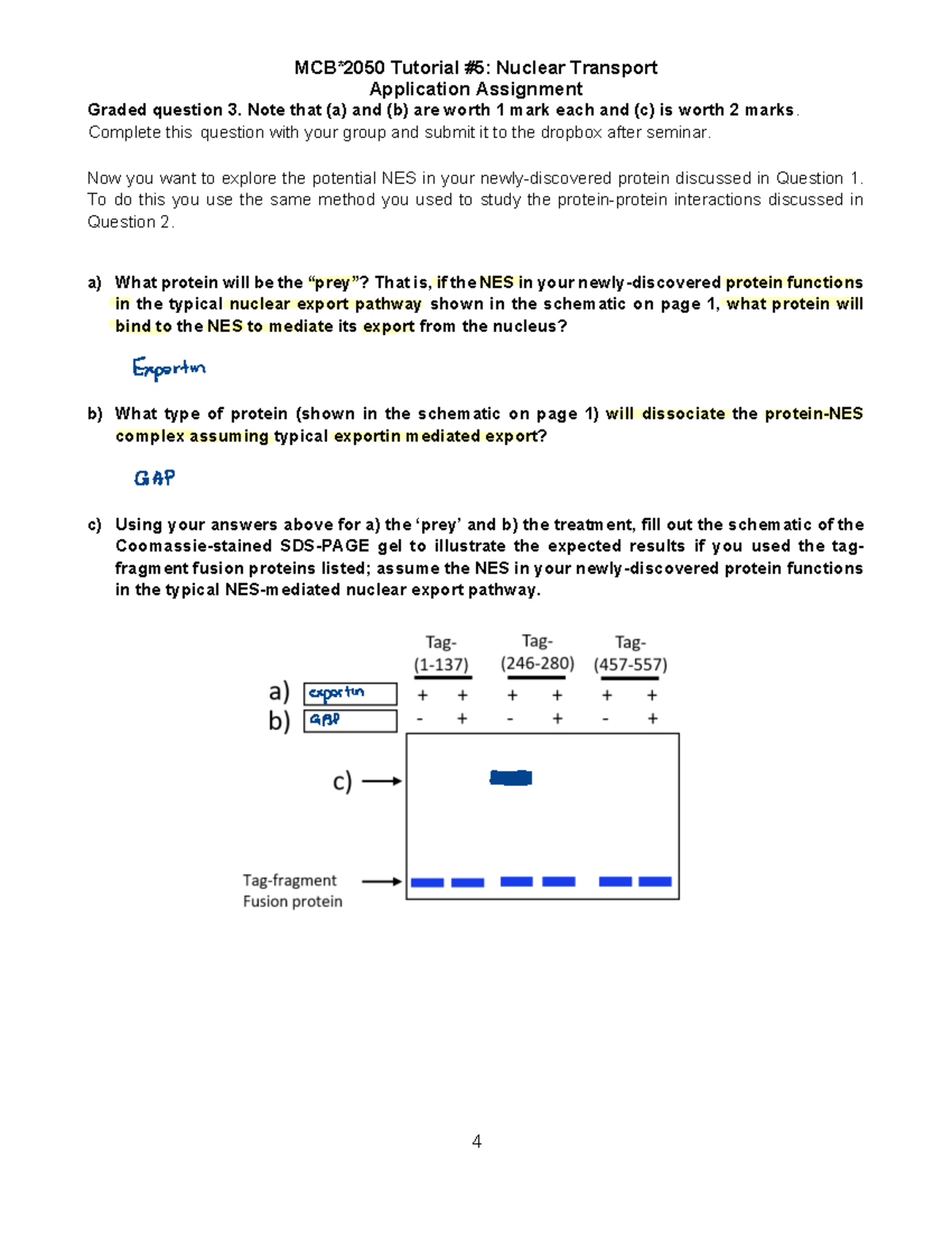 Nuclear Transport Application Assignment (Tutorial) - Graded Q3 - Studocu