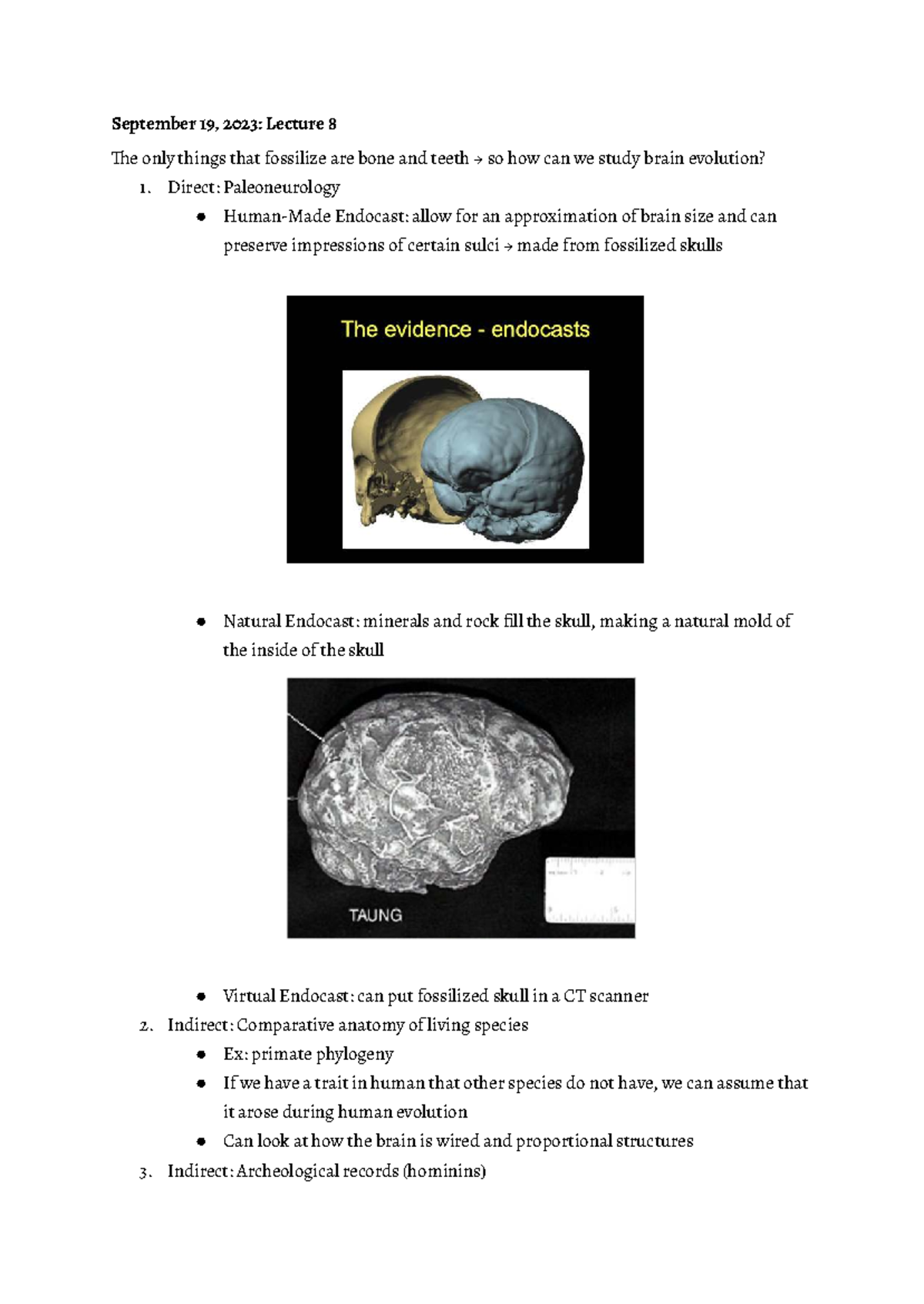 NBB Exam 1 Lecture Notes: Brain-Body Allometry & Encephalization ...