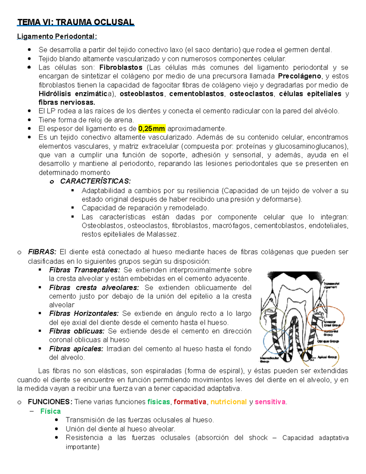 Grátis: Osteomielites - Supurativa, aguda, crônica, esclerosante, difusa,  focal, pericetite proliferativa - Material Claro e Objetivo em PDF para  Estudo Rápido, image size:1200x1553
