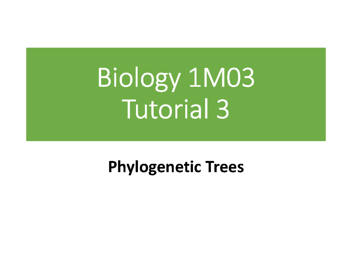 Bio 1M03 Tutorial 3: Phylogenetic Trees Overview and Analysis - Studocu