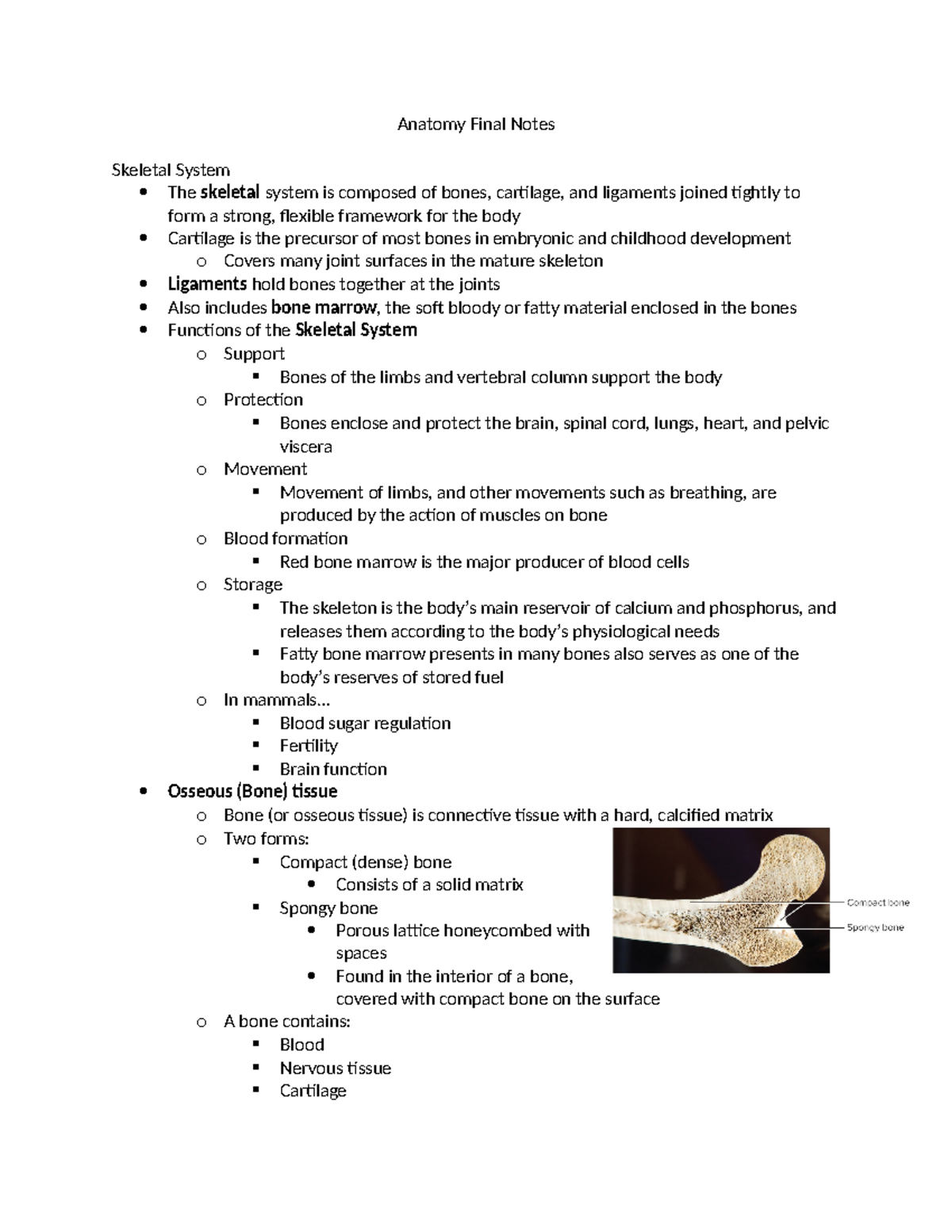 ANAT 1052 Final Exam Notes: Overview of the Skeletal System - Studocu