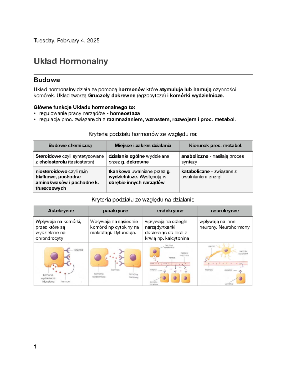Sprawdzian Biologia 2 Gimnazjum Układ Hormalny www.studocu.com