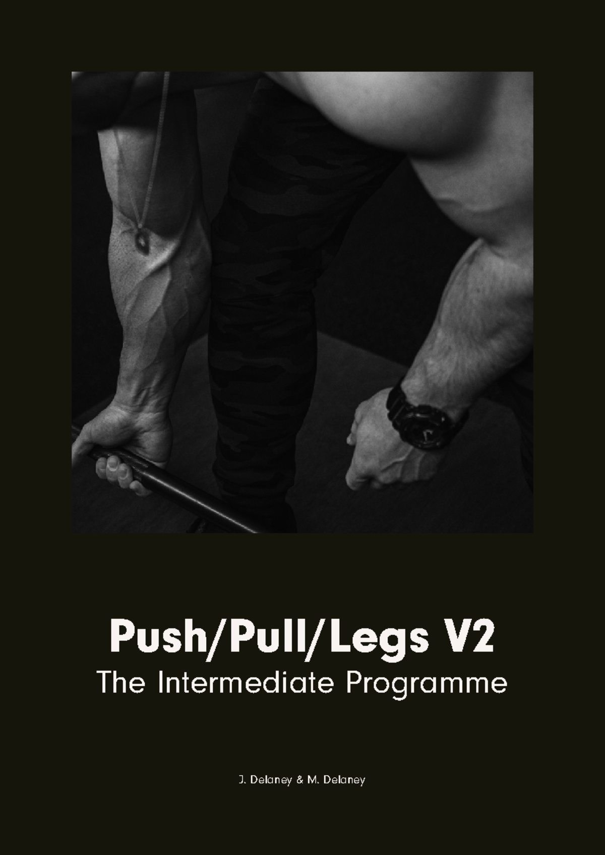 PPL v2 (Full) - This is the program - Push/Pull/Legs V The Intermediate ...