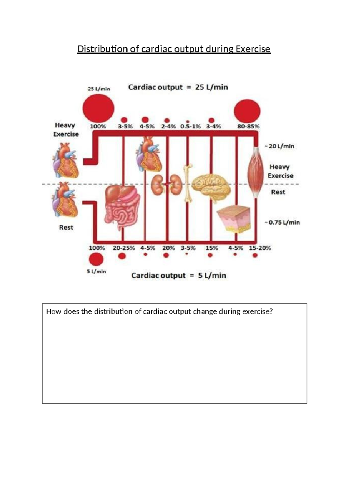 Distribution of cardiac output during Exercise - Studocu