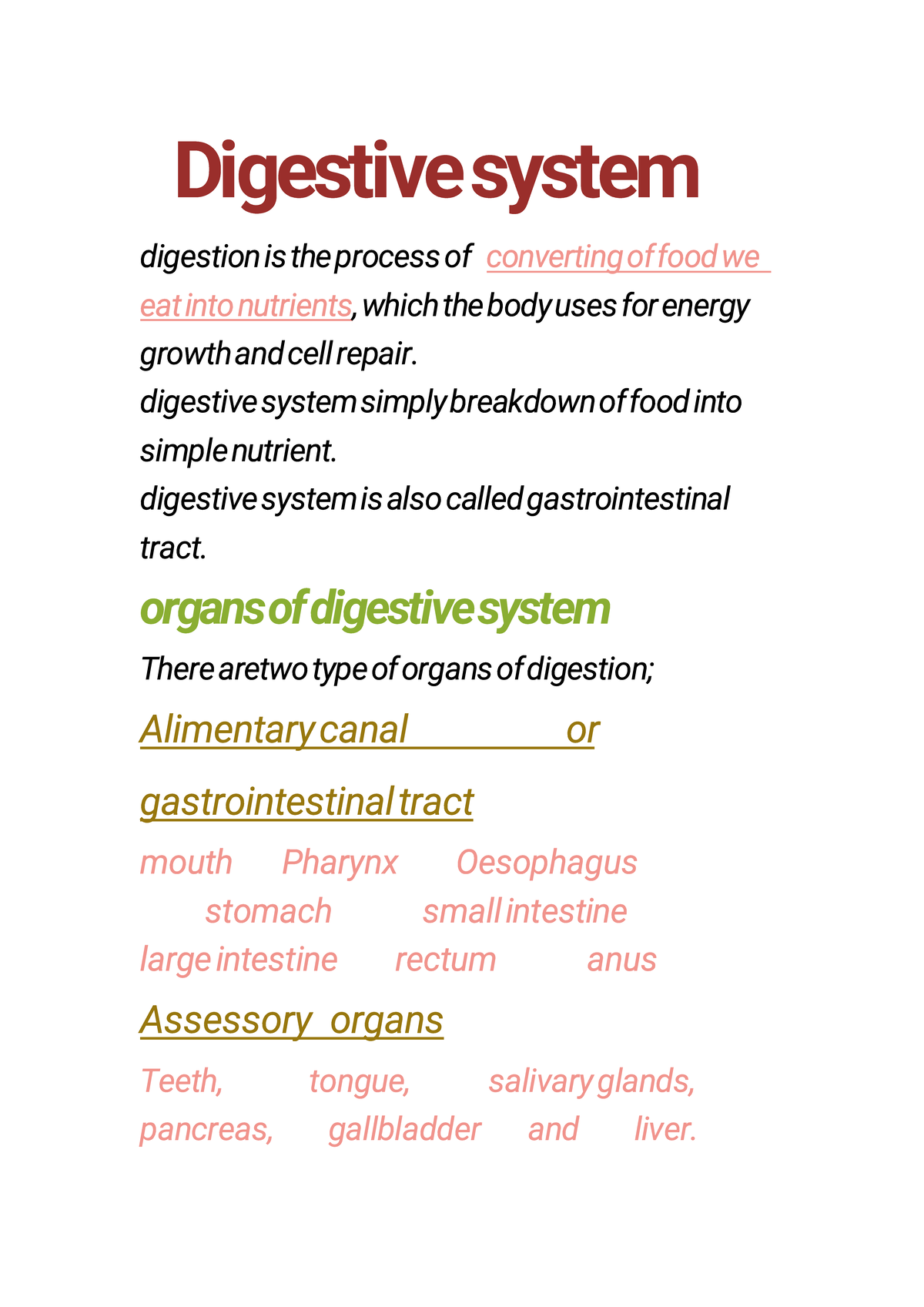 Digestive System Overview: Anatomy and Function of GI Tract - Studocu