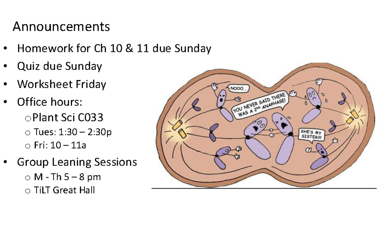 Meiosis and Genetic Variation: Key Concepts for BIO 101 Quiz - Studocu
